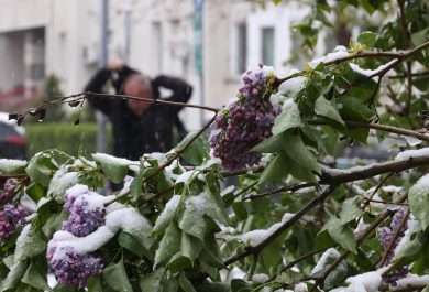 Maltempo al nord: caduti 100 mm di pioggia. Neve sulle Dolomiti