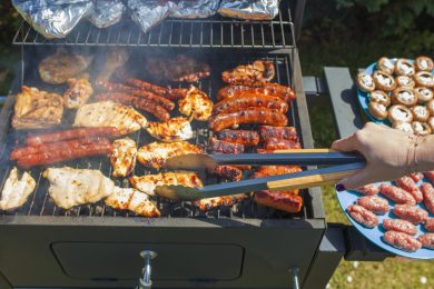 L’ultima follia green dei Verdi? Stop al barbecue