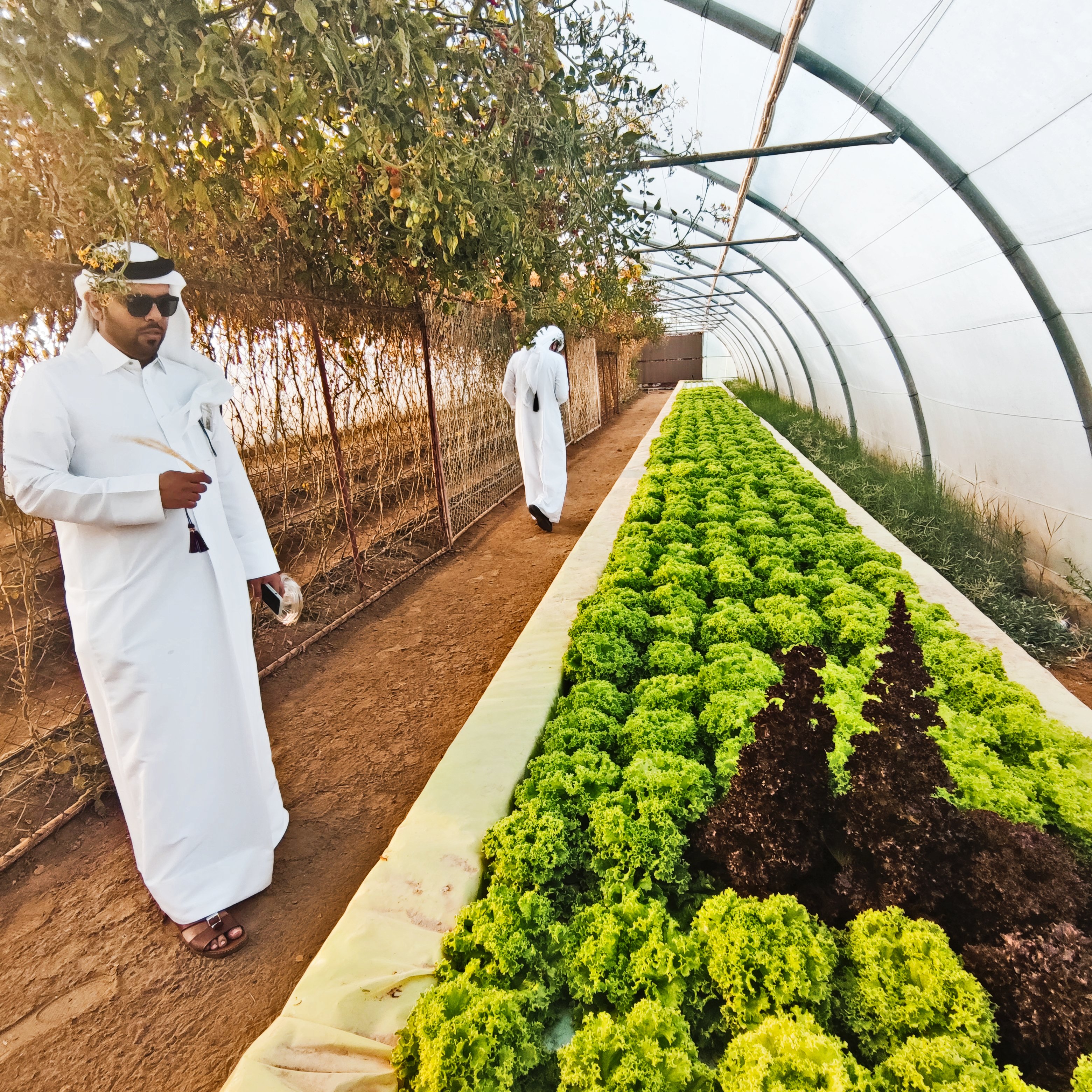Dopo i Mondiali il Qatar diventa meta per le famiglie Dopo i Mondiali il Qatar diventa meta per le famiglie