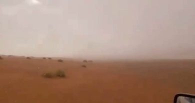 Primo test di pioggia creata artificialemente con droni negli Emirati Arabi | video