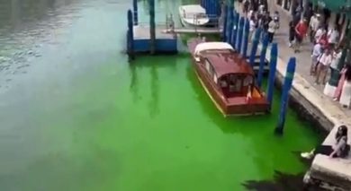 Chiazza verde fluorescente in Canal Grande a Venezia | video
