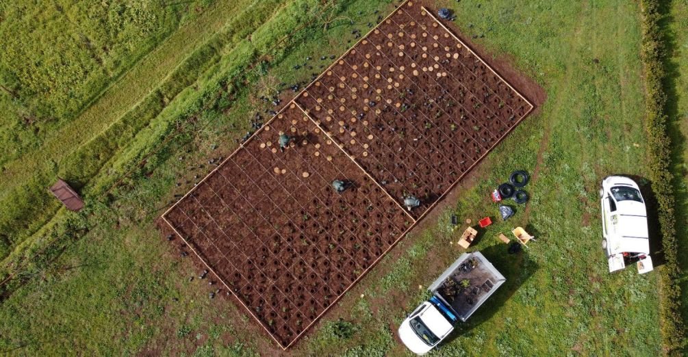 Terna, al via “Tiny Forest”: il progetto per aumentare la biodiversità nelle aree urbane