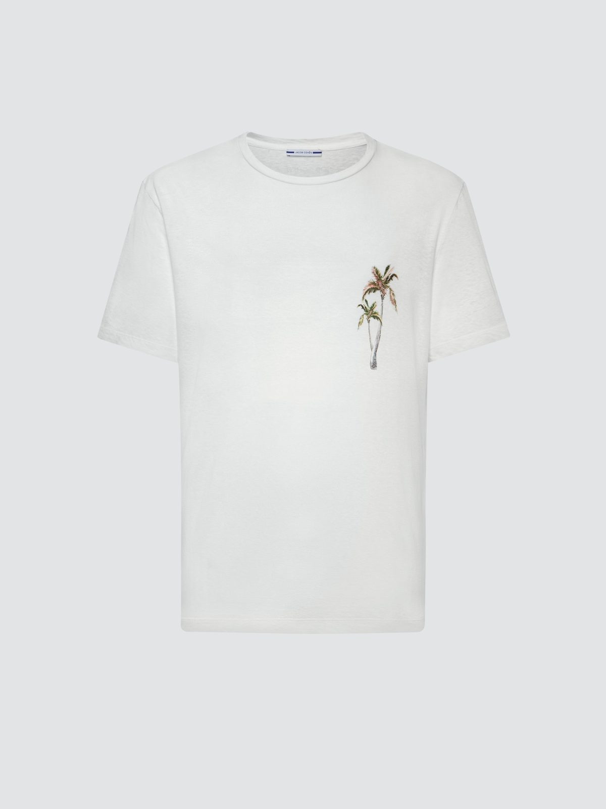 Galleria foto 'Tutto nasce dalla lettera «T»' - foto 3