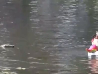 Coccodrillo telecomandato si aggira in laguna e spaventa ragazza | video