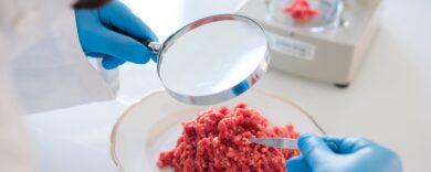 Il riscatto del ragù: crolla la bolla dei cibi fatti in laboratorio