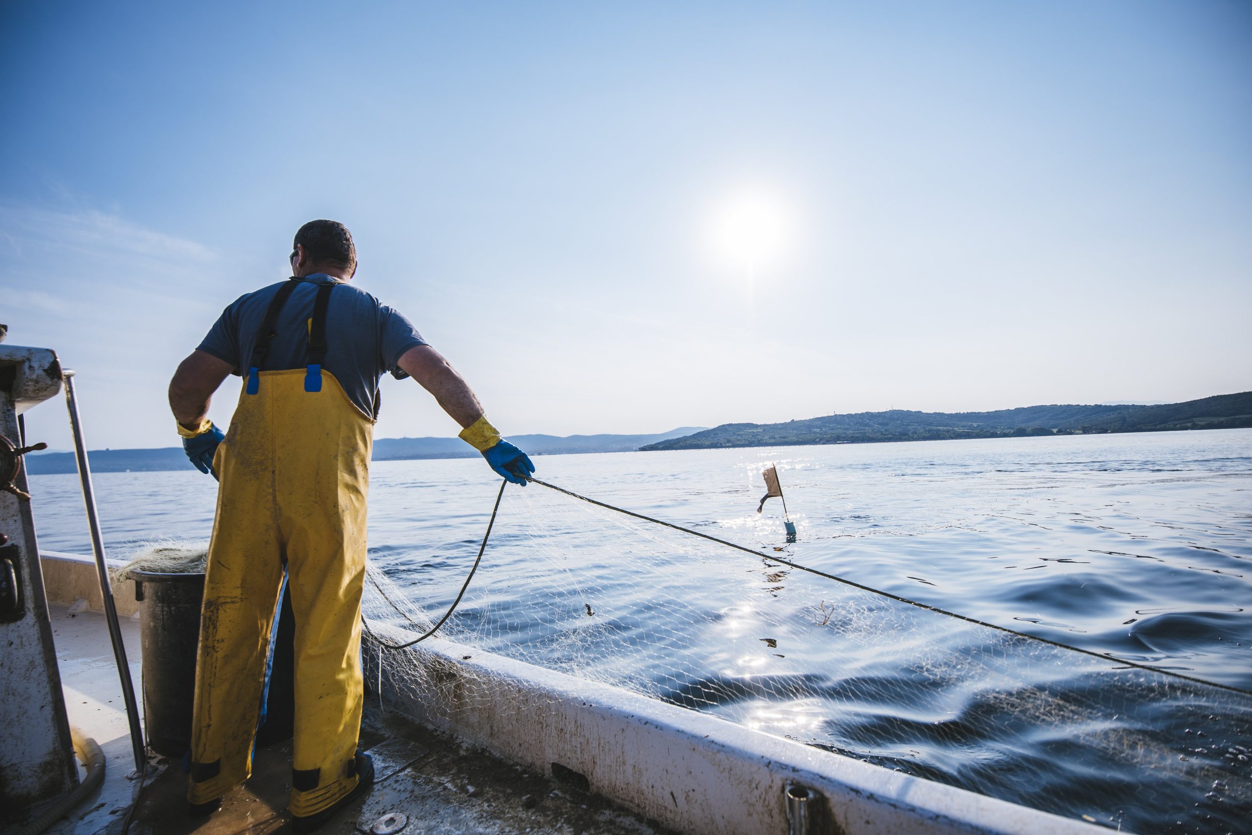 Tutti i paradossi della battaglia UE contro la pesca a strascico