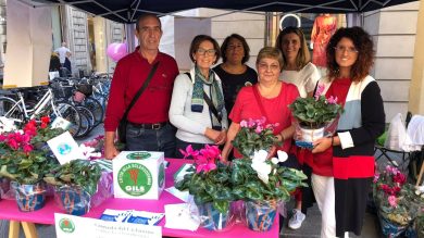 29 giugno, giornata mondiale Sclerosi Sitemica