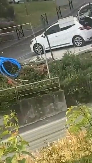 Parigi, agente di polizia uccide ragazzo a un posto di blocco I video