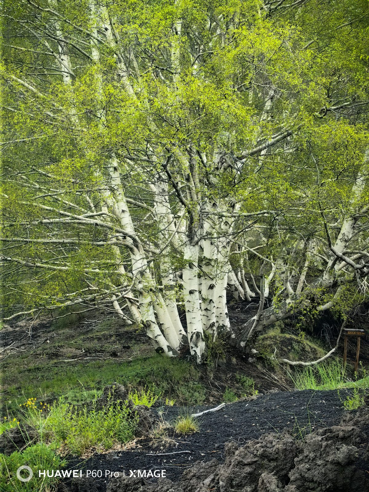 Galleria foto 'Alla scoperta dell’Etna e di Taormina con Huawei P60 Pro' - foto 14