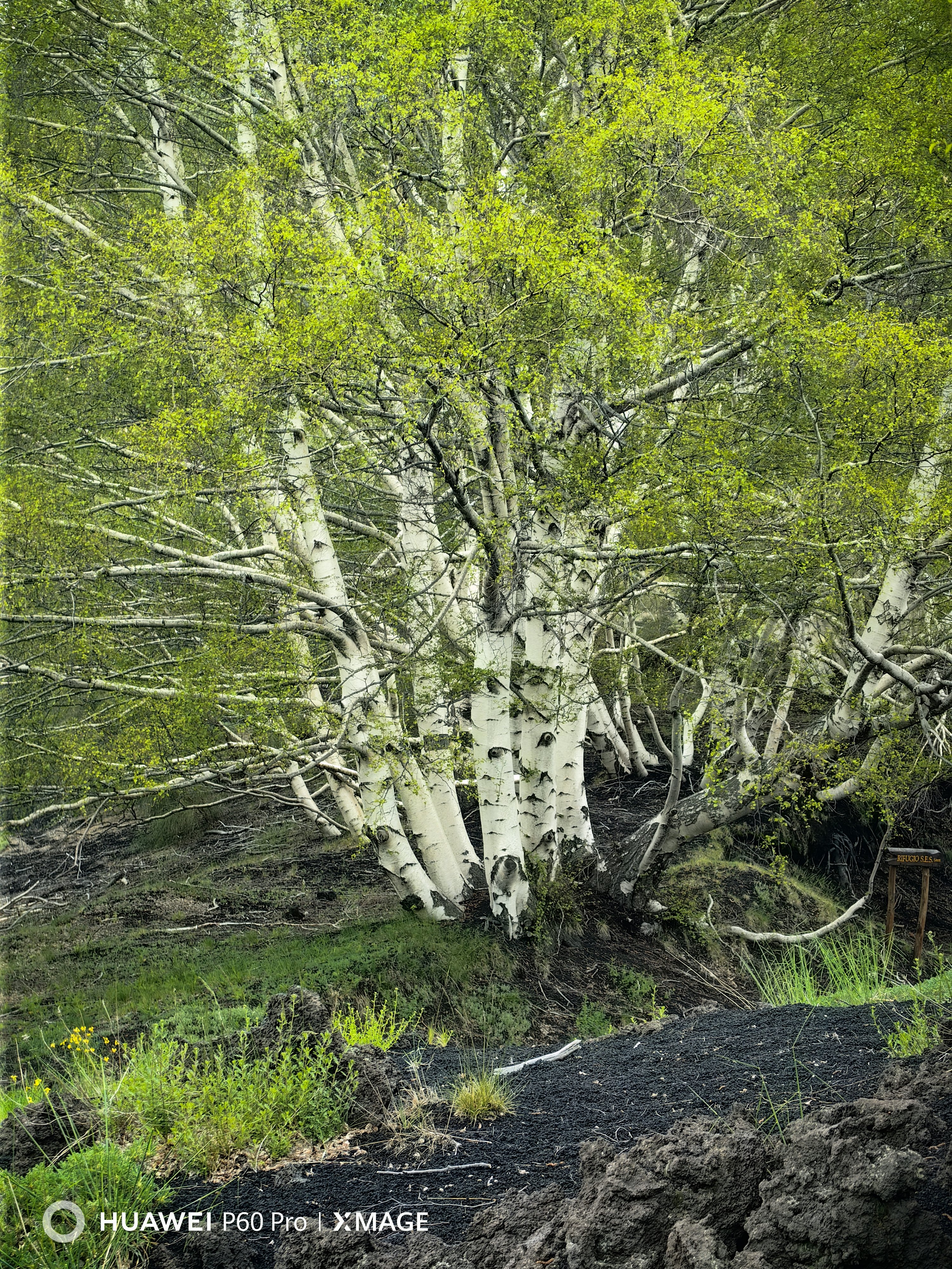 Alla scoperta dell’Etna e di Taormina con Huawei P60 Pro Alla scoperta dell’Etna e di Taormina con Huawei P60 Pro