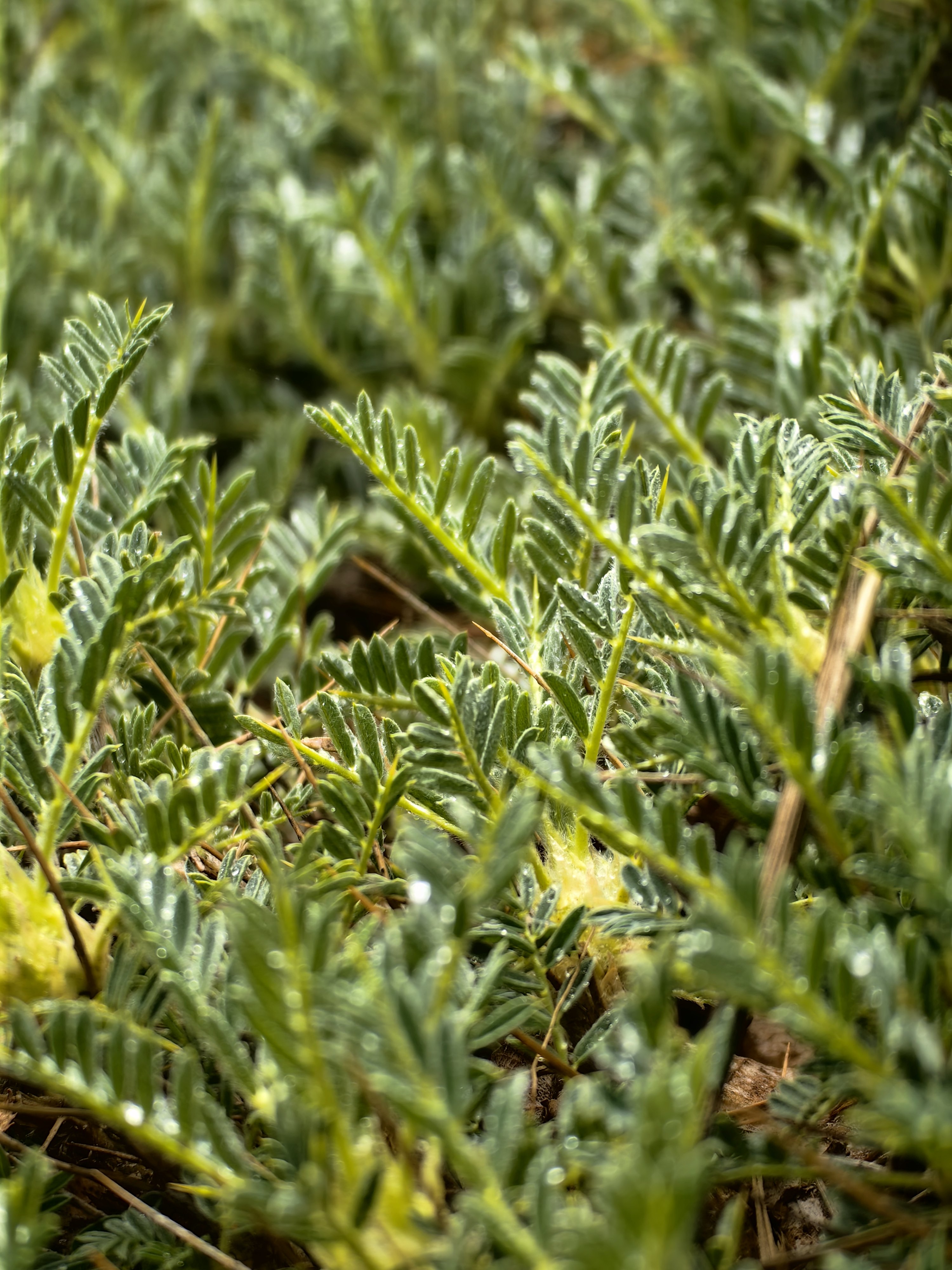 Alla scoperta dell’Etna e di Taormina con Huawei P60 Pro Alla scoperta dell’Etna e di Taormina con Huawei P60 Pro