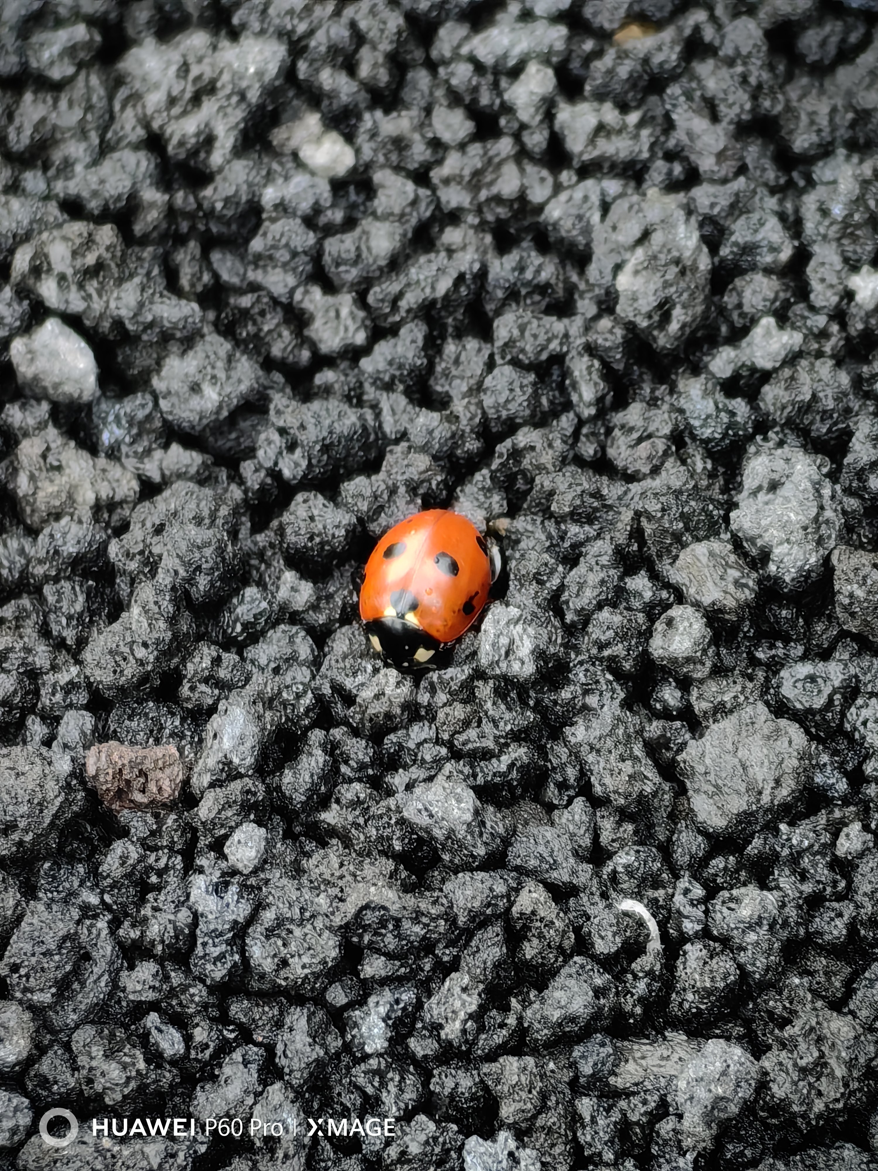 Alla scoperta dell’Etna e di Taormina con Huawei P60 Pro Alla scoperta dell’Etna e di Taormina con Huawei P60 Pro