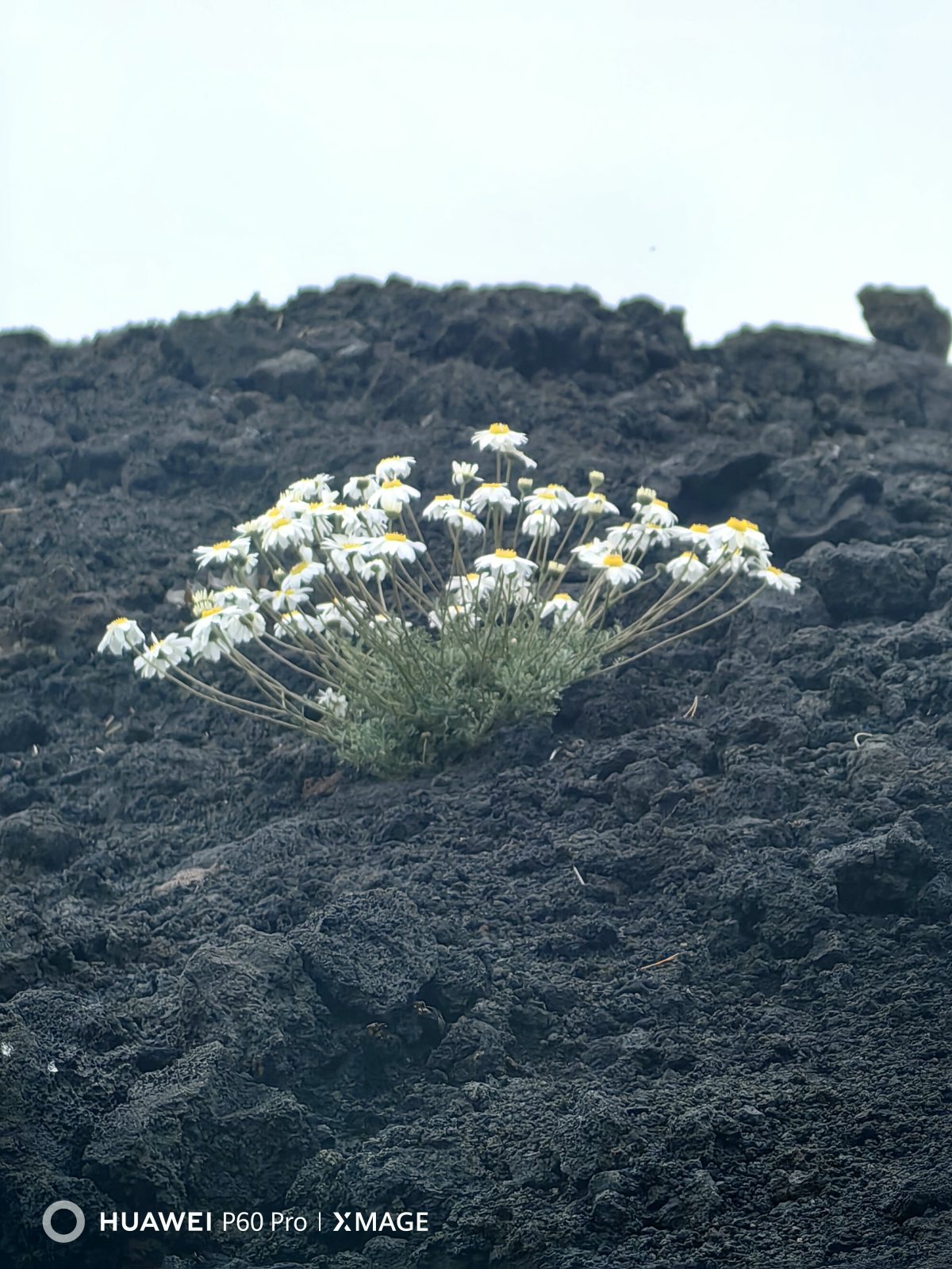 Galleria foto 'Alla scoperta dell’Etna e di Taormina con Huawei P60 Pro' - foto 10