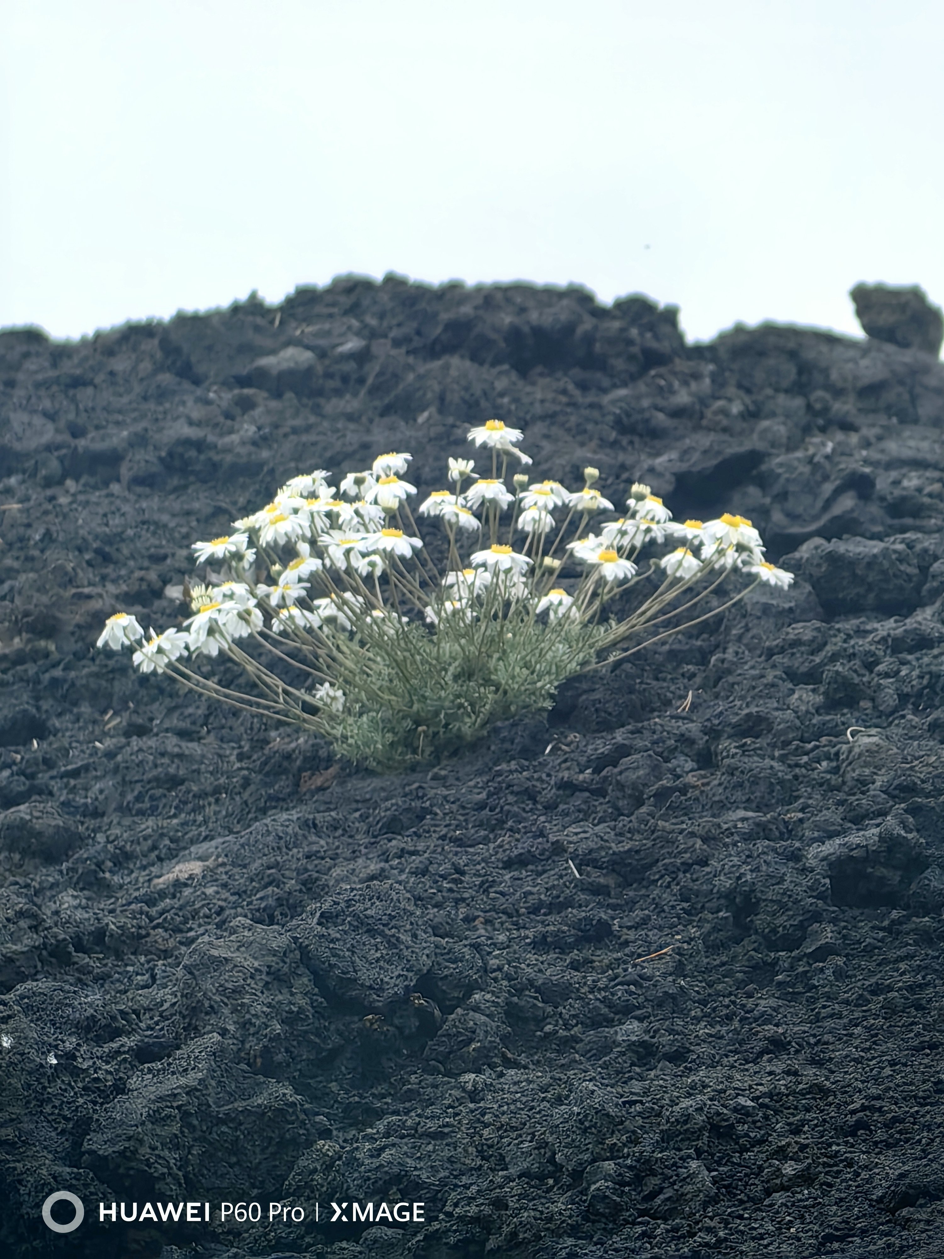 Alla scoperta dell’Etna e di Taormina con Huawei P60 Pro Alla scoperta dell’Etna e di Taormina con Huawei P60 Pro
