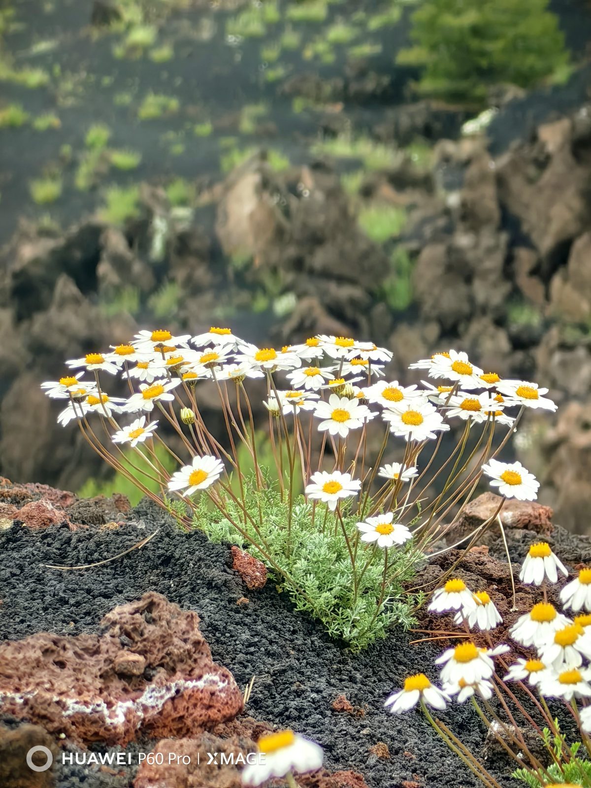 Galleria foto 'Alla scoperta dell’Etna e di Taormina con Huawei P60 Pro' - foto 6
