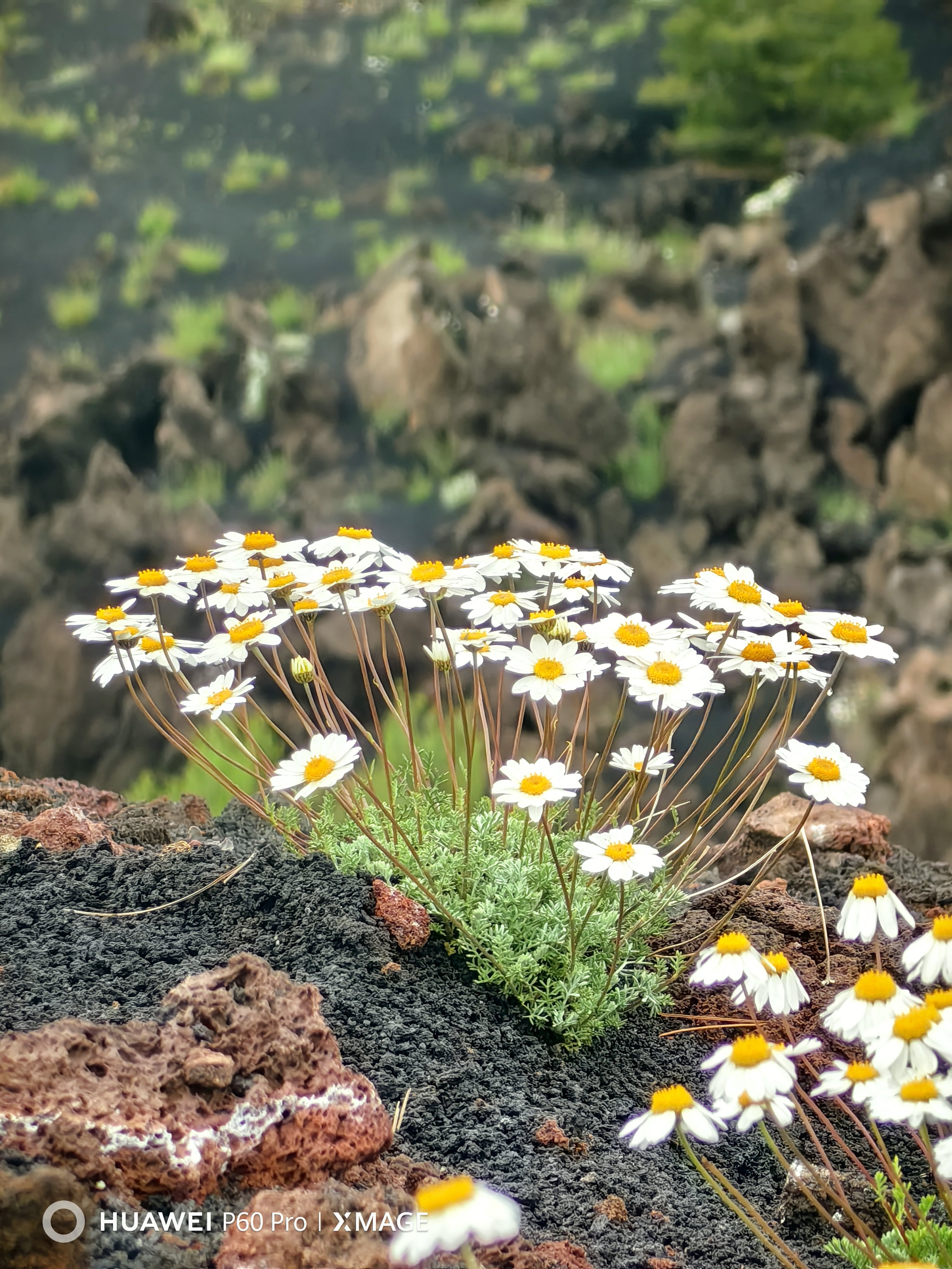 Alla scoperta dell’Etna e di Taormina con Huawei P60 Pro Alla scoperta dell’Etna e di Taormina con Huawei P60 Pro