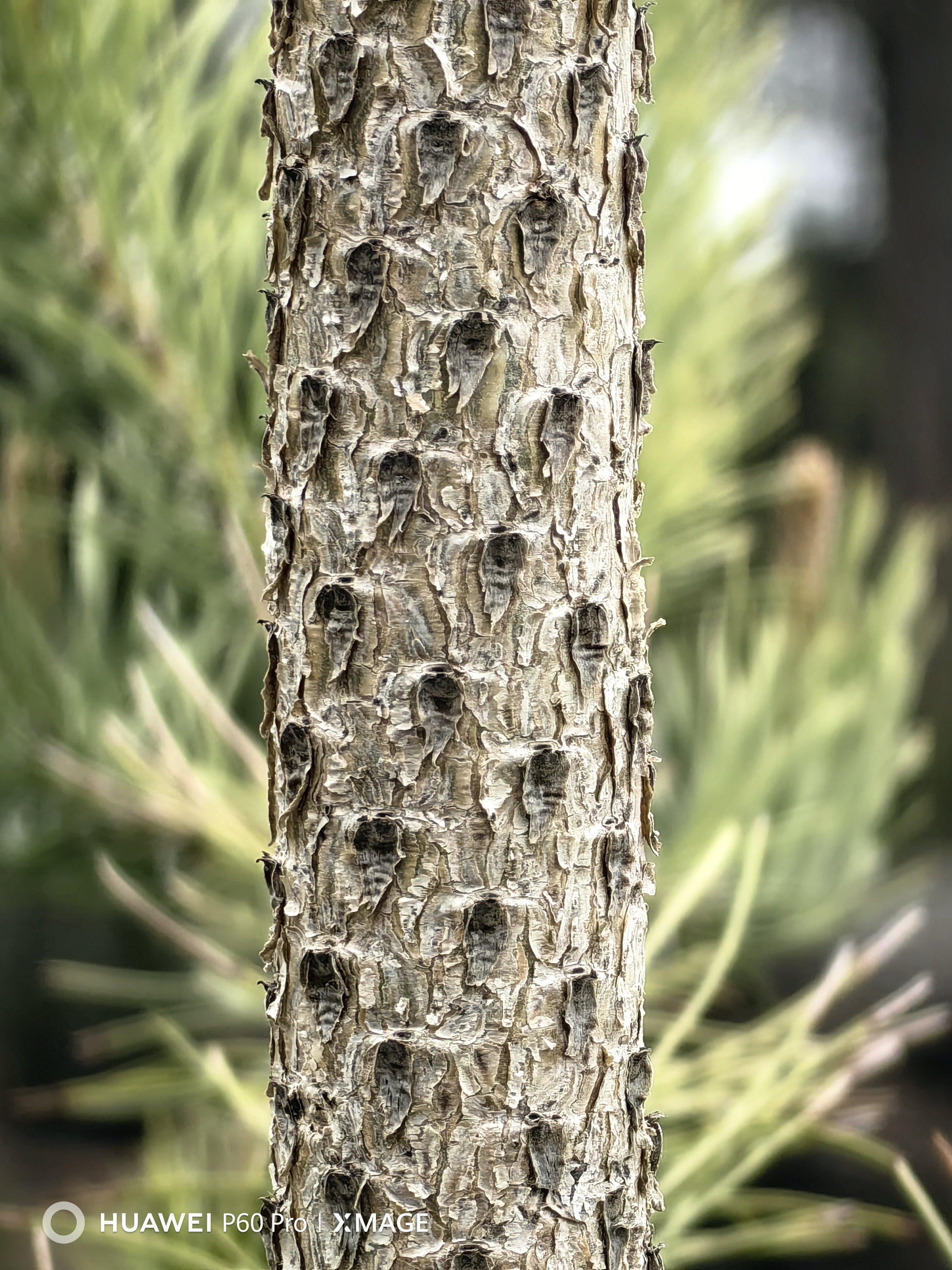 Alla scoperta dell’Etna e di Taormina con Huawei P60 Pro Alla scoperta dell’Etna e di Taormina con Huawei P60 Pro