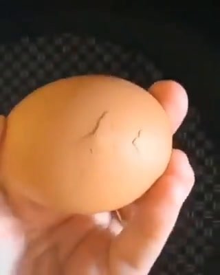 Sta per cucinare un uovo ma qualcosa inizia a muoversi sotto la crosta | video