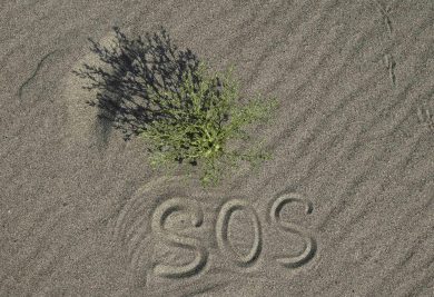 Estate 2023 a rischio inondazioni, siccità e ondate di calore