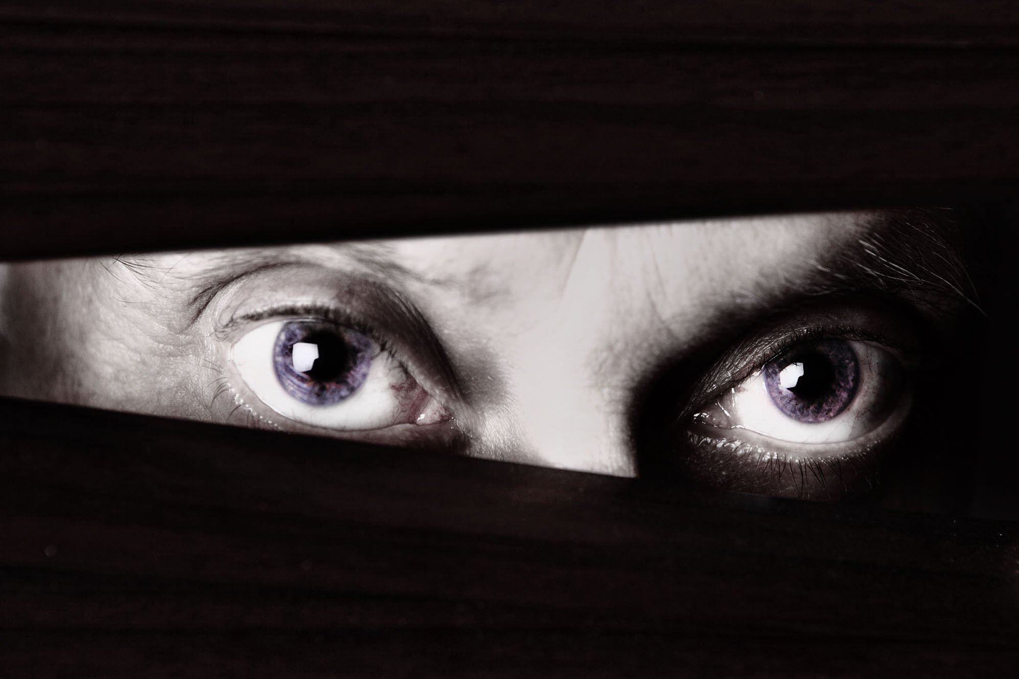 La Cina ci spia, già all’Università La Cina ci spia, già all’Università