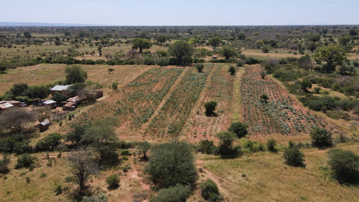 Galleria foto 'Un pianeta sostenibile? Si può avere. Anche con l’aiuto dell’Africa' - foto 3