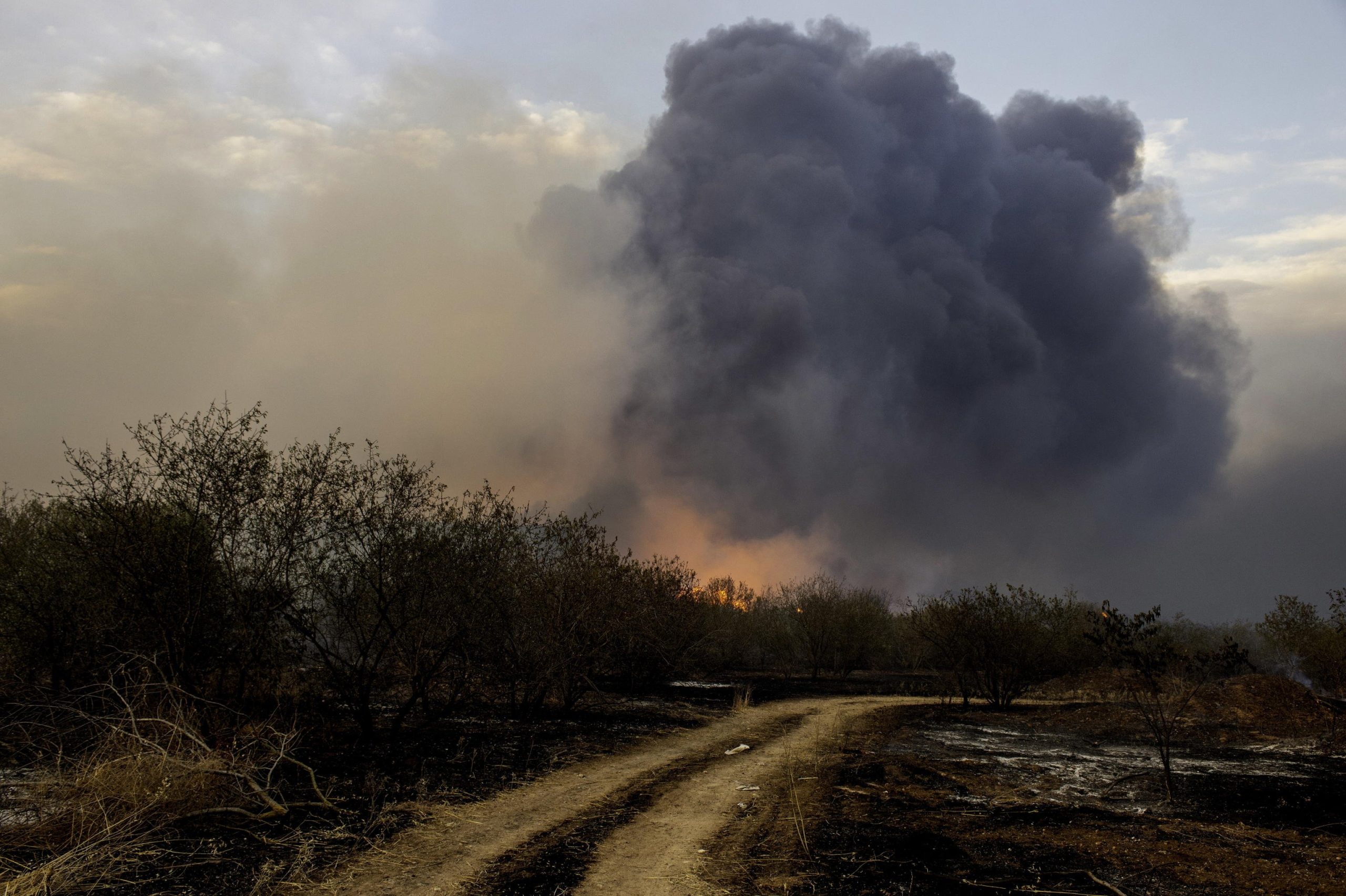 Allarme incendi in Europa