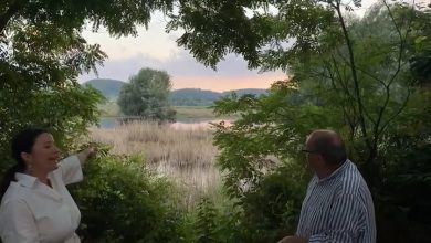 Le pillole di galateo di Petra e Carlo: un picnic di classe