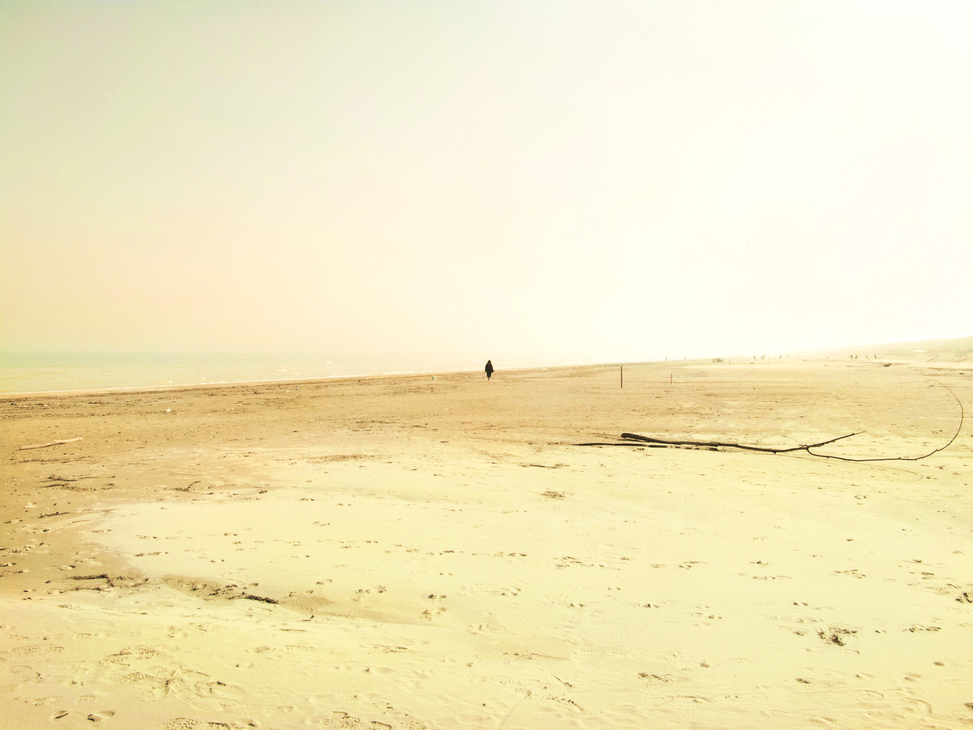 La bellezza dell’essenza