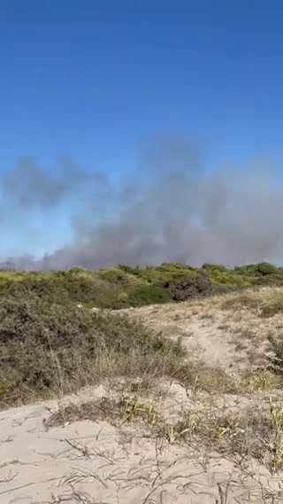 Puglia: incendio nella pineta a Ugento, turisti in fuga dalla spiaggia | video