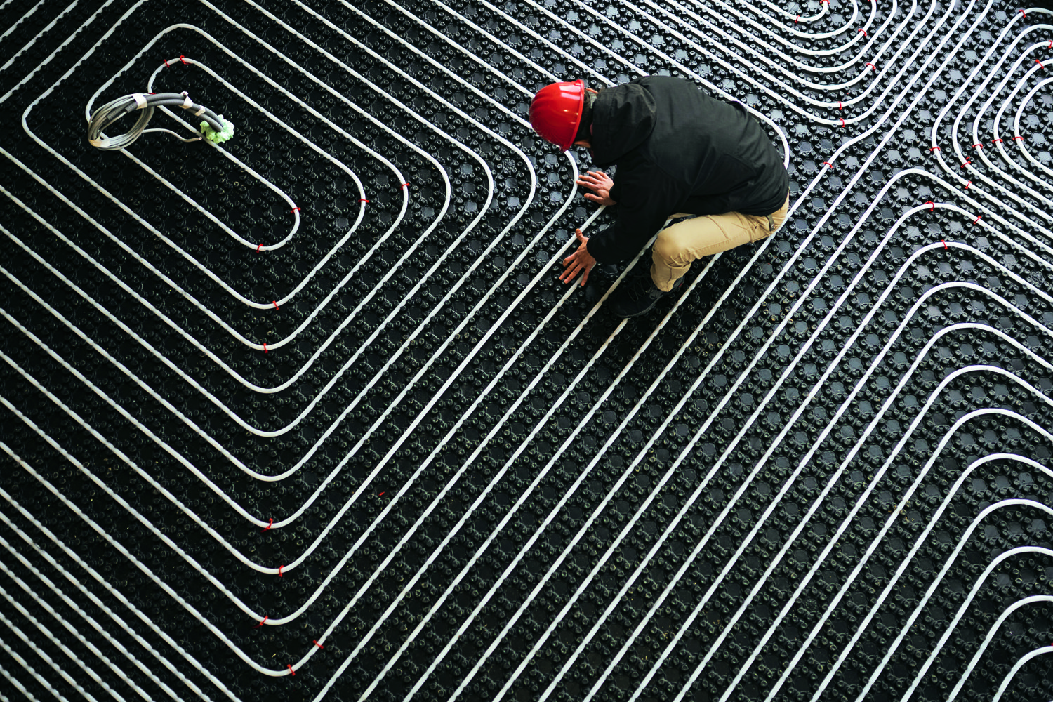 Quelli che dicono no (anche al posto sicuro) Quelli che dicono no (anche al posto sicuro)