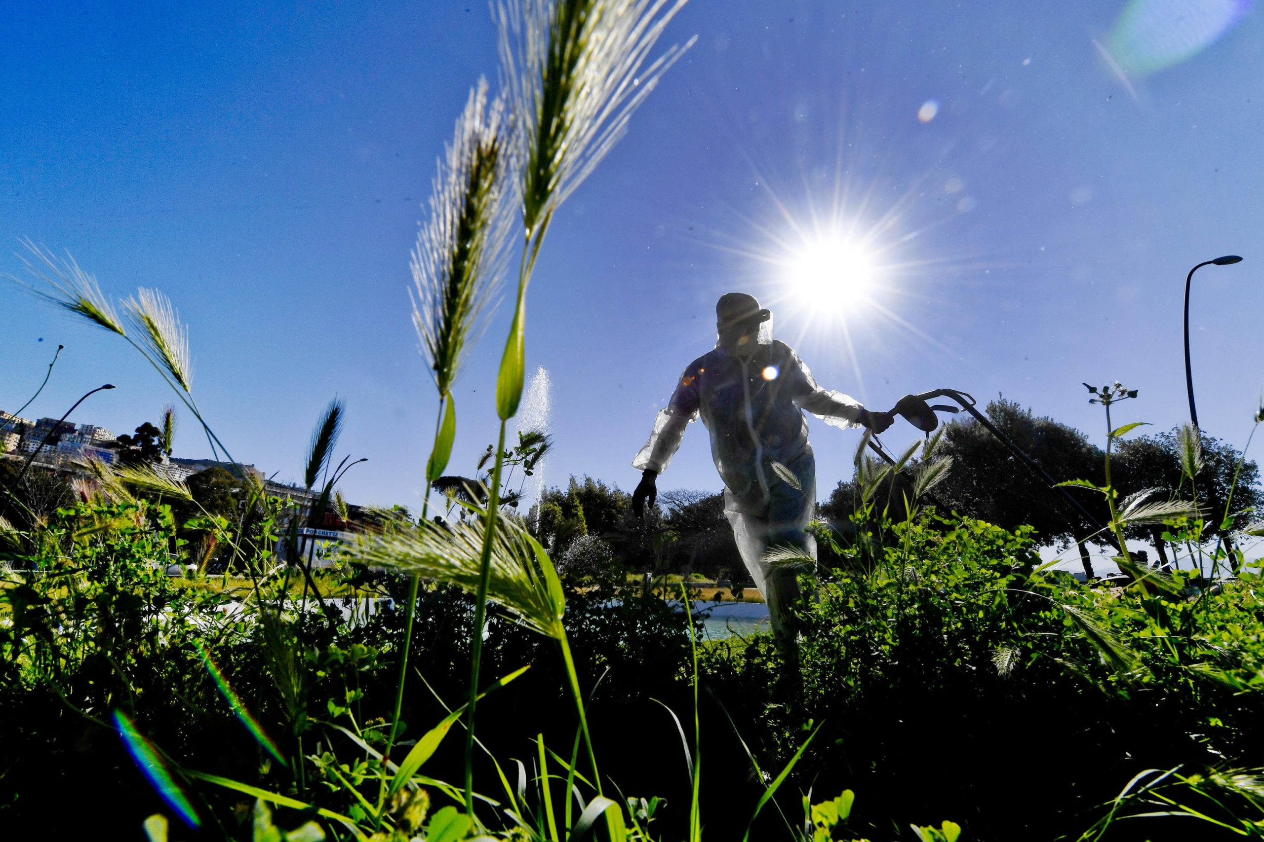 Giardiniere travolge donna col tosaerba: morta mamma di 27 anni che dormiva nel parco