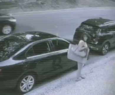 Mille impedimenti per chiudere una semplice portiera | video