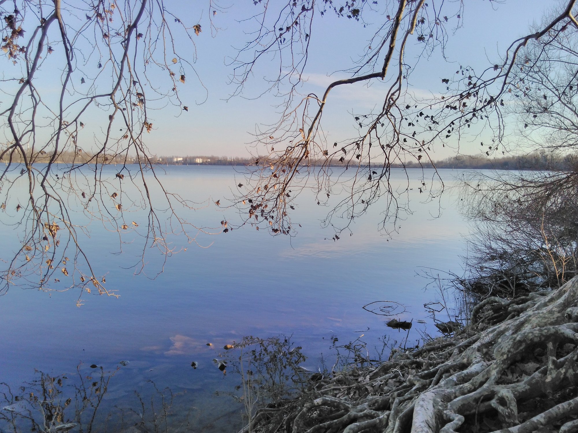 Mantova, rinvenuto cadavere nel Mincio Mantova, rinvenuto cadavere nel Mincio