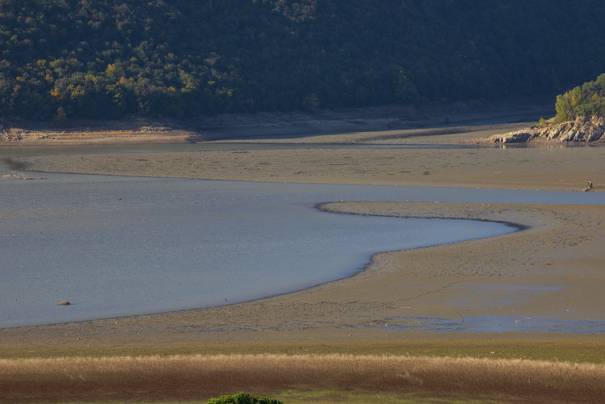 «L’Italia arriverà stremata all’autunno»