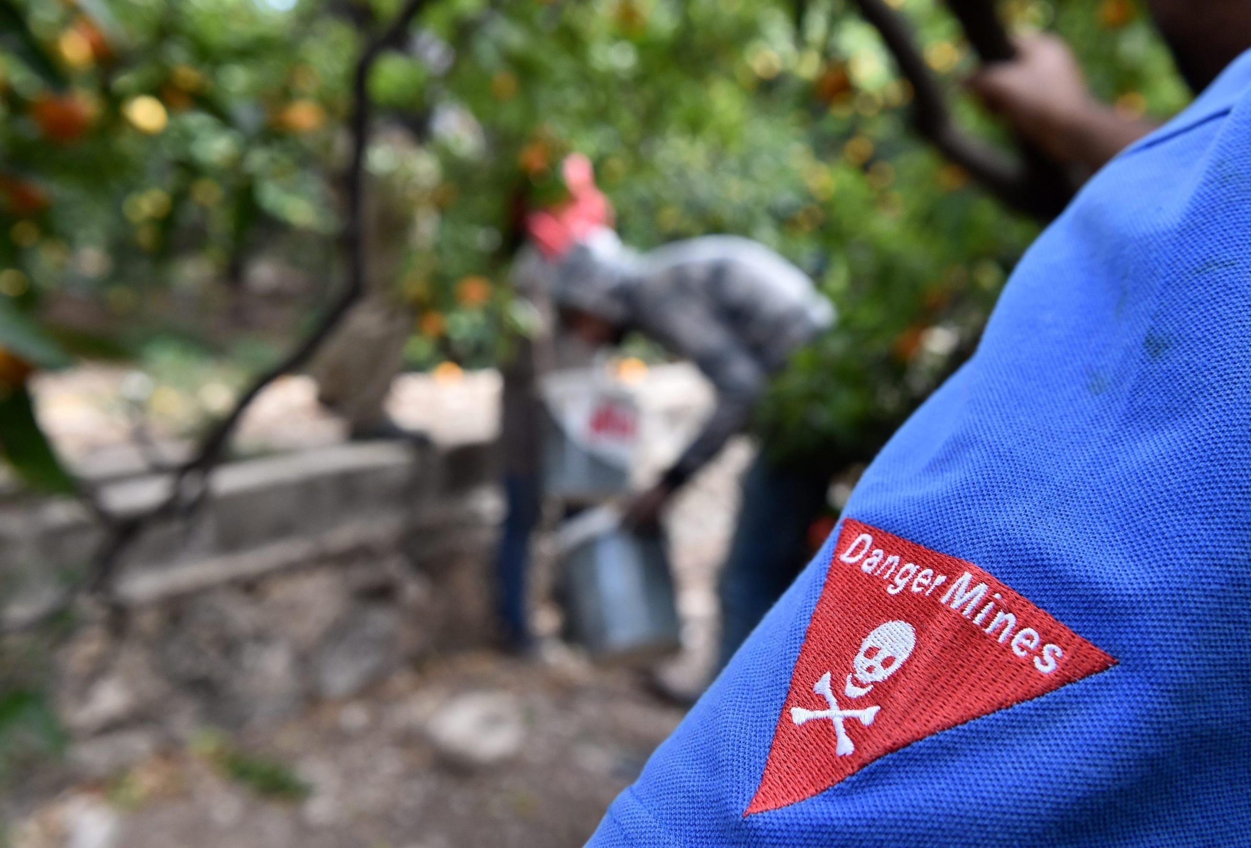 Kiev: “Abbiamo ricevuto bombe a grappolo dagli Stati Uniti” Kiev: “Abbiamo ricevuto bombe a grappolo dagli Stati Uniti”