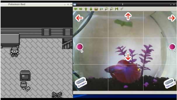 Uno streaming senza streamer