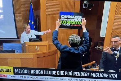 Una liberalizzazione mortale