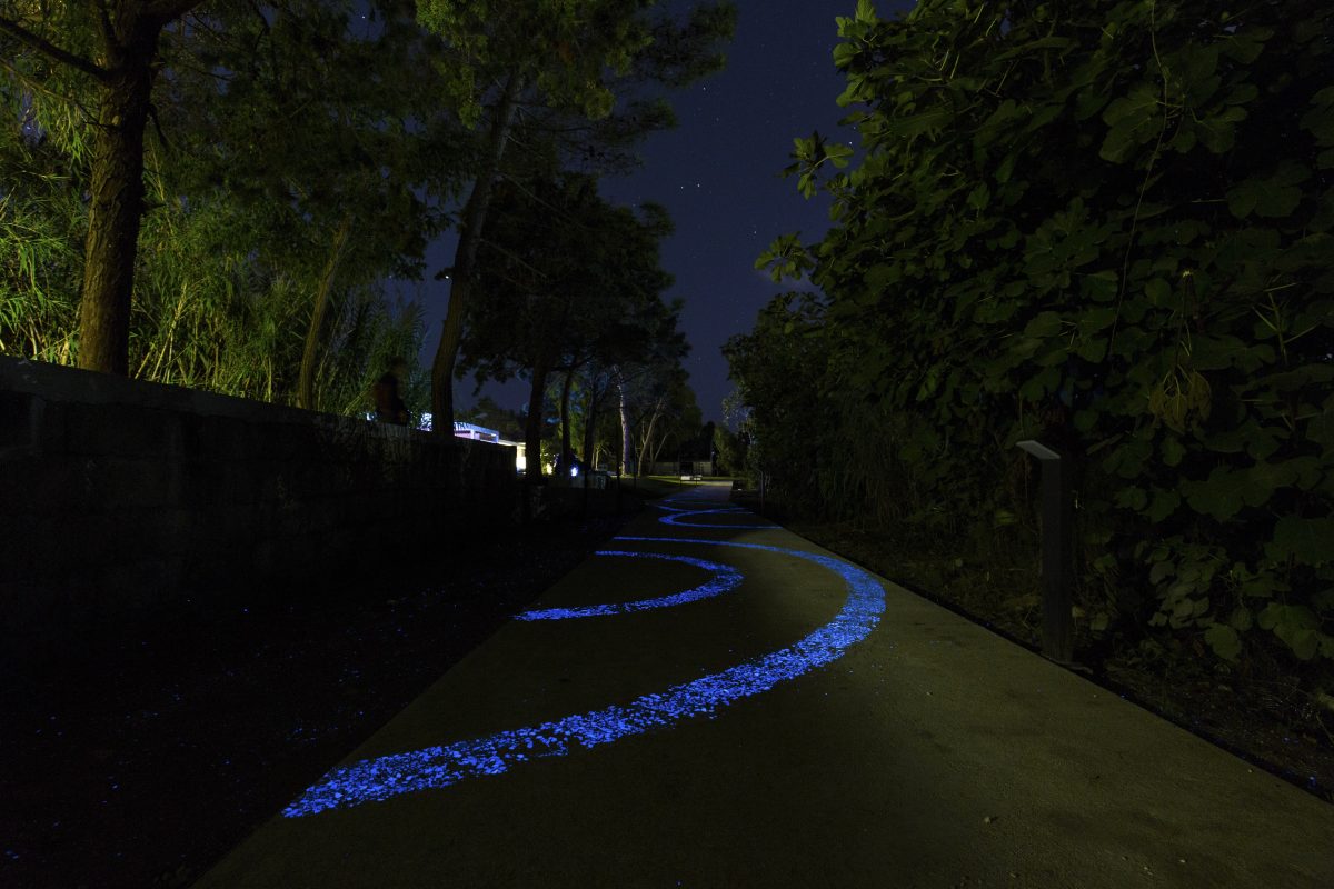 Galleria foto 'Le migliori«piste» accessibili a tutti in bicicletta' - foto 10