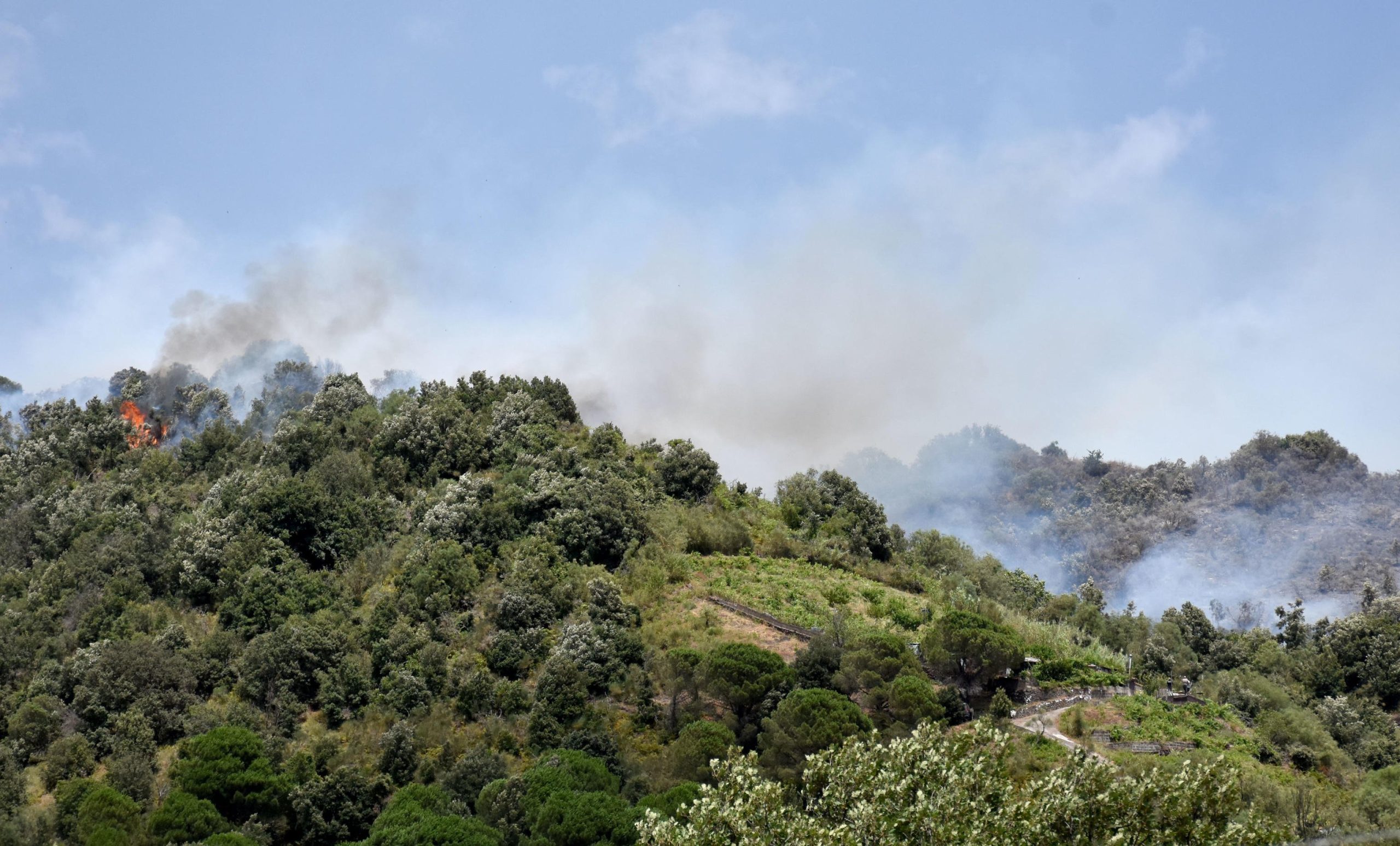 Emergenza incendi in Sicilia tra il Palermitano e il Trapanese Emergenza incendi in Sicilia tra il Palermitano e il Trapanese