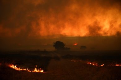 Incendi Grecia, trovati corpi carbonizzati di 26 migranti