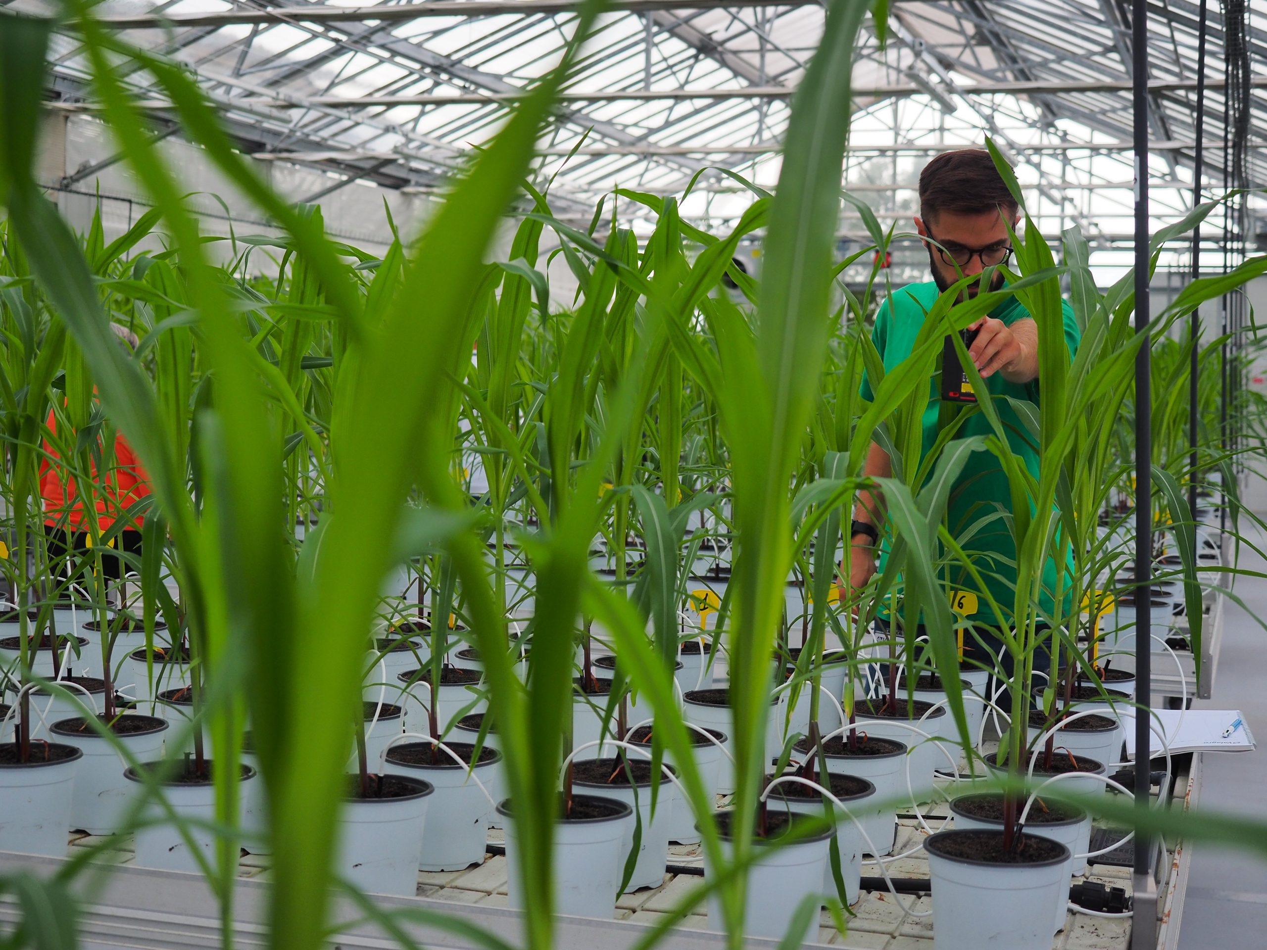 Valagro (azienda parte di Syngenta Biologicals), un tesoro nascosto nel settore agro-industriale