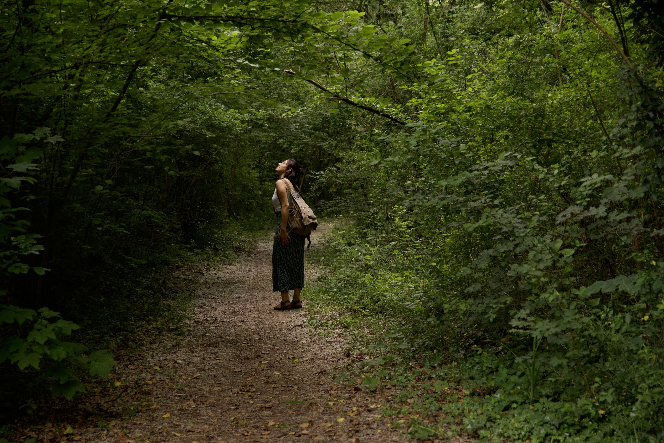 Viaggio nelle più antiche foreste d’Italia Viaggio nelle più antiche foreste d’Italia