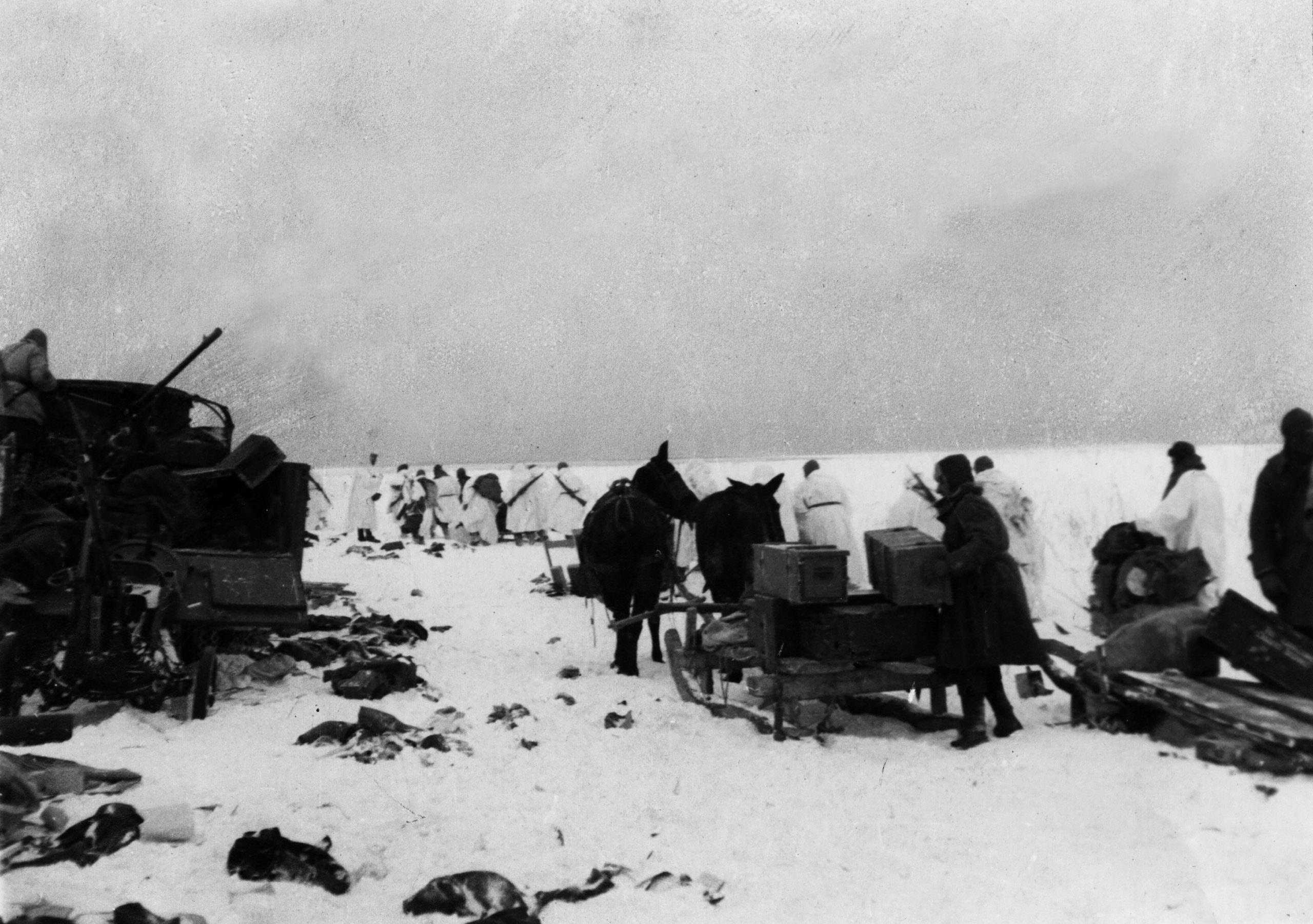 La mia ritirata sul Don La mia ritirata sul Don