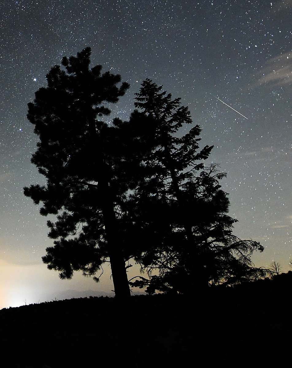 Notte di San Lorenzo. Lo spettacolo delle stelle cadenti Notte di San Lorenzo. Lo spettacolo delle stelle cadenti