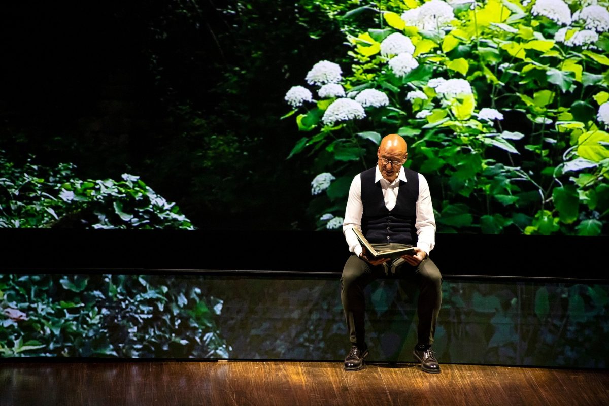 Galleria foto 'Umbria Green Festival' - foto 7