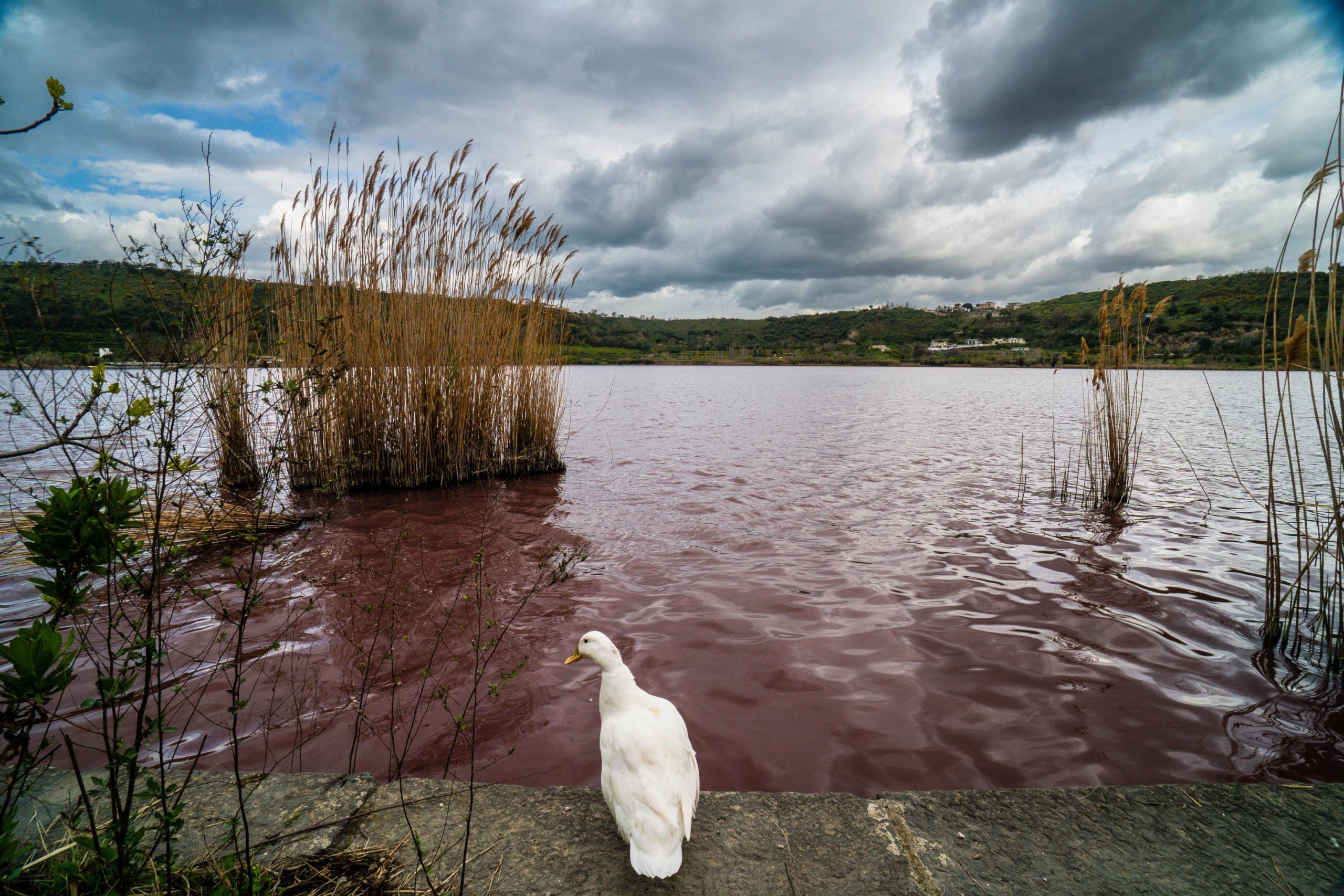 La paura ormai tangibile del terremoto nella zona dei Campi Flegrei