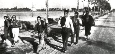 8 settembre 1943, l’armistizio e la tragedia dei militari