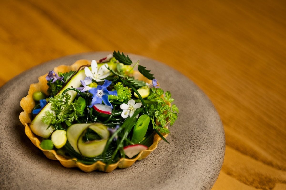 Galleria foto 'L’«Equilibrio» vincente' - foto 3