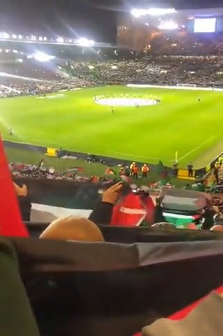Champions League, tifosi del Celtic Glasgow con la bandiera della Palestina I video