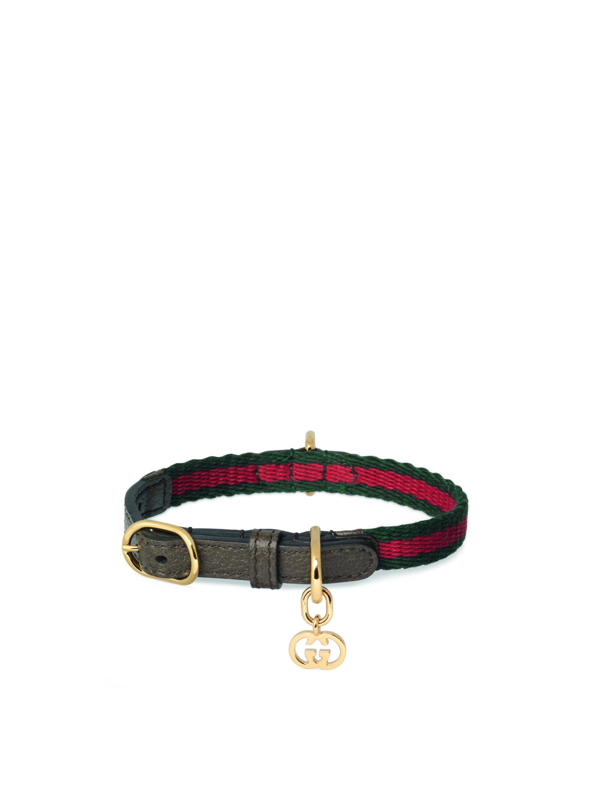 Galleria foto 'Cani e gatti a 5 stelle' - foto 8